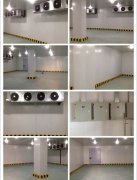 江蘇七加七餐飲管理有限公司食品冷庫(kù)工程